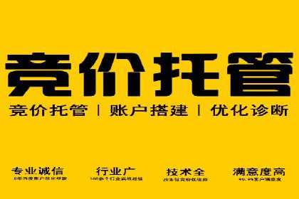 网络推广：竞价排名实战案例分析